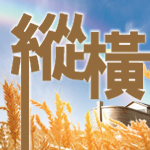 縱橫 - 308 期
